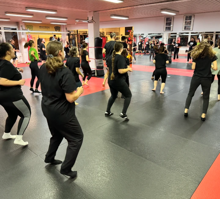 Flexible Trainings in Aarau Krav Maga Probetraining Aarau